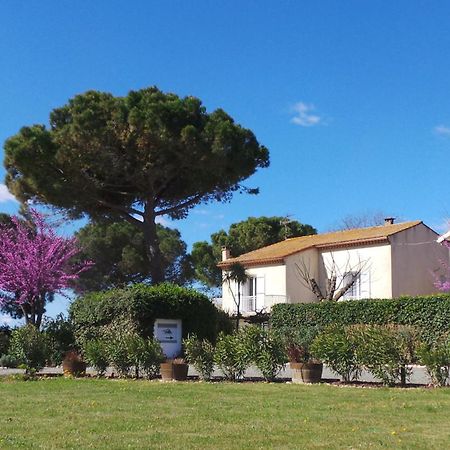 A L'Oree Des Vignes Montady المظهر الخارجي الصورة