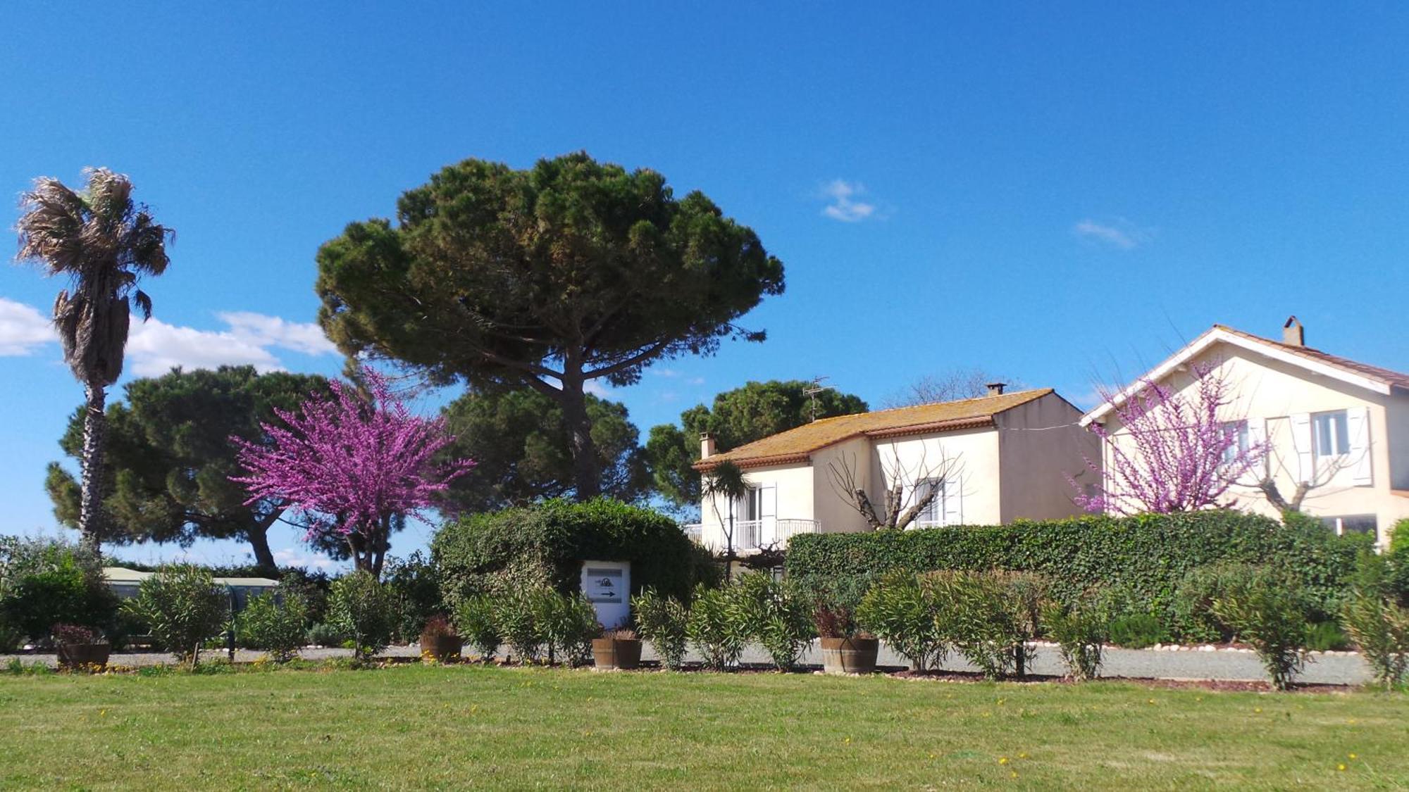 A L'Oree Des Vignes Montady المظهر الخارجي الصورة
